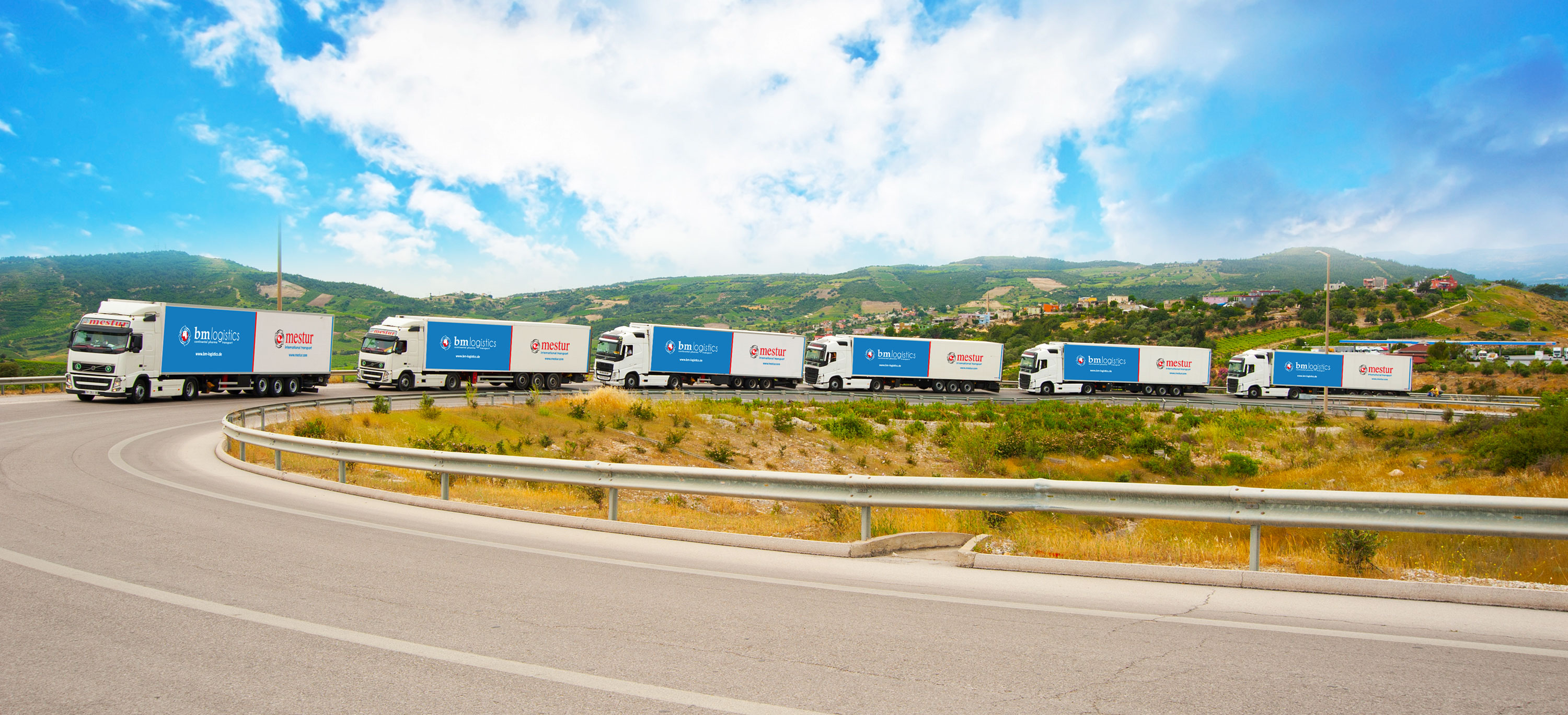 B & M LogisticsService GmbH & Co. KG Temperaturgeführte Transporte